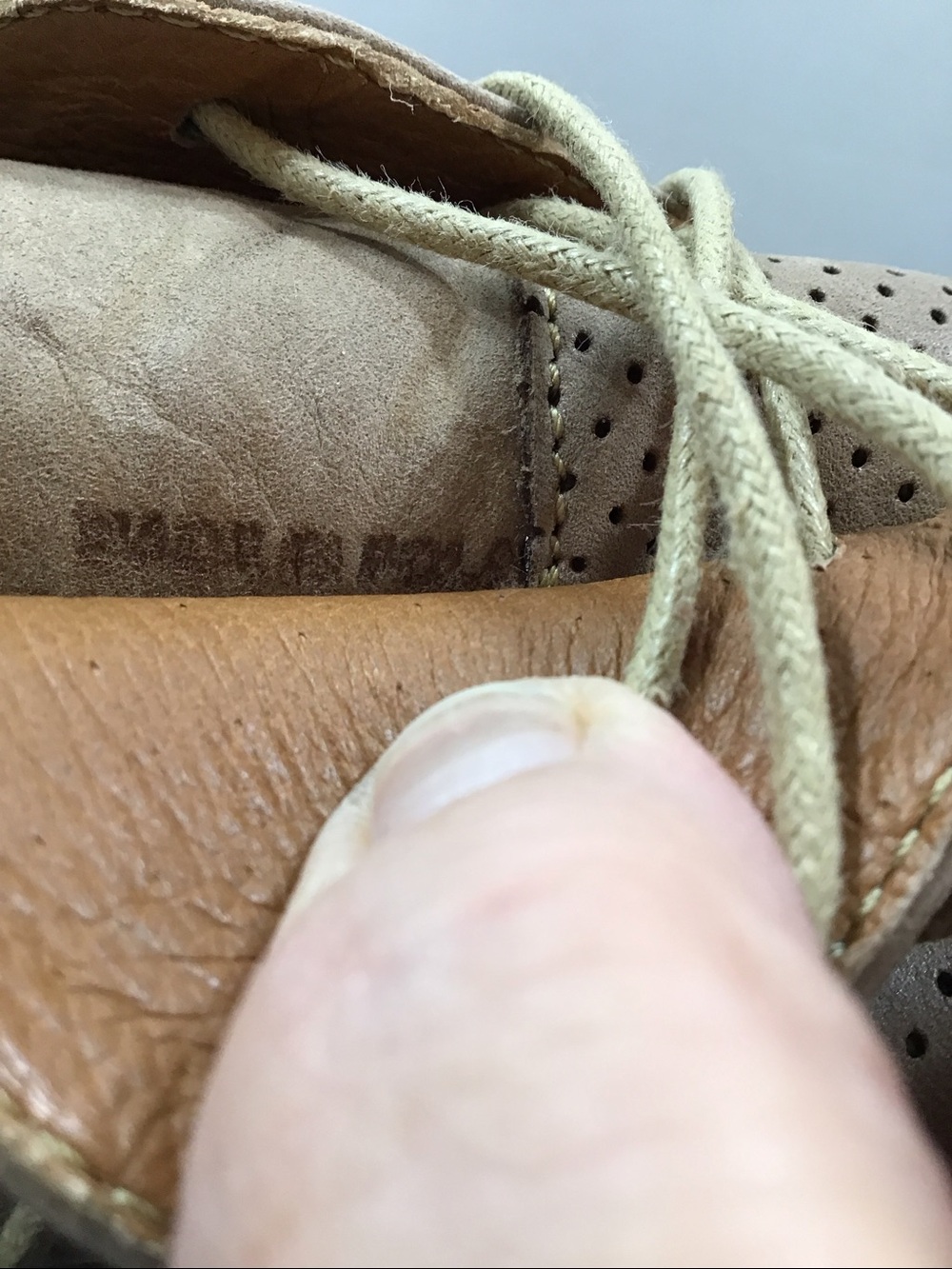 V Italia Gina Perforated Lace-Up Oxfords in Light Taupe 37 - Picture 11 of 12